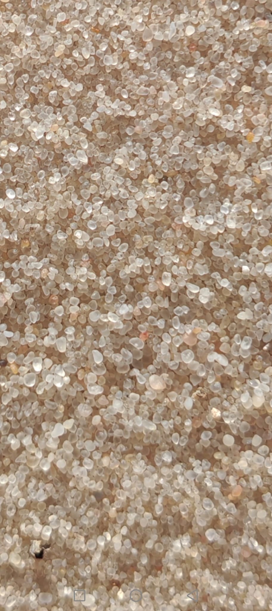 Close-up of Al-Qaryatayn silica sand grains